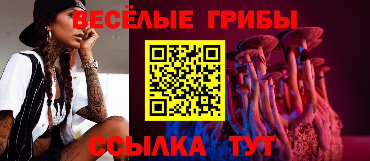 Псилоцибиновые грибы мухоморы  Галлюциногенные грибы прущие грибы  Новодвинск  Вход с VPN 