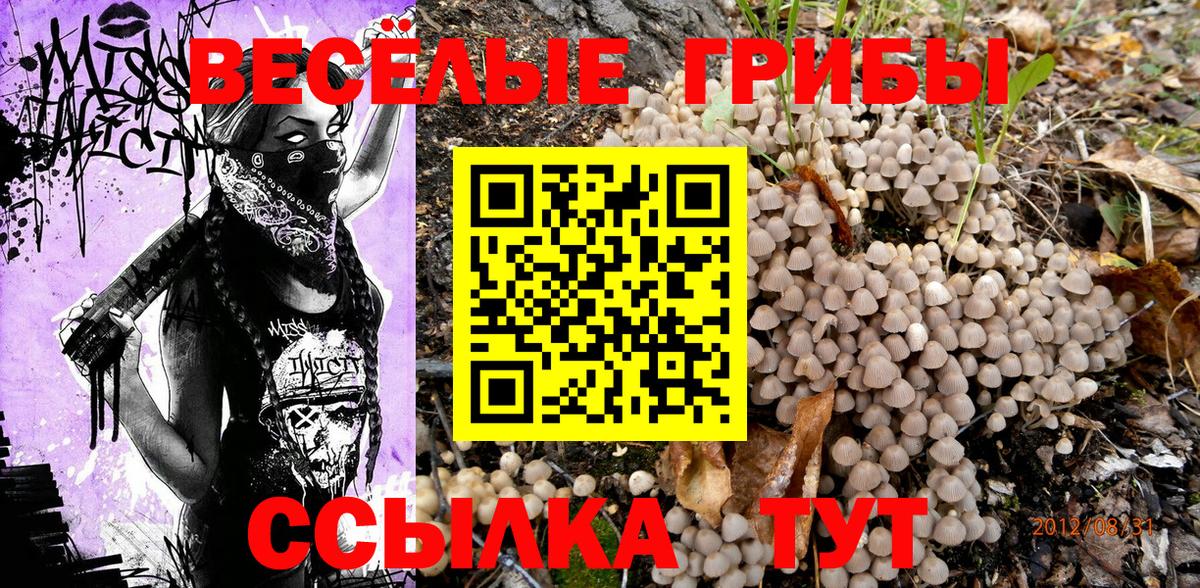 Галлюциногенные грибы GOLDEN TEACHER Новодвинск