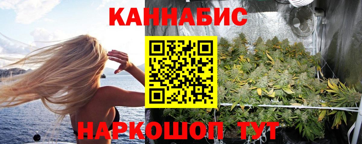 Марихуана сатива  Канабис индика  Новодвинск  Конопля семена  Вход с VPN 